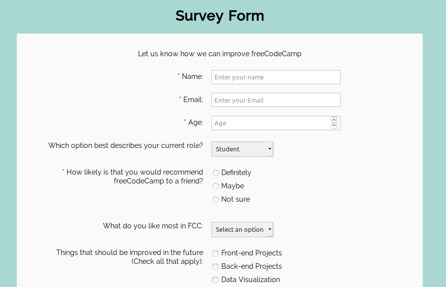 Survey form project screenshot image