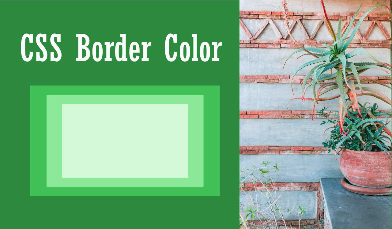 CSS border poster image